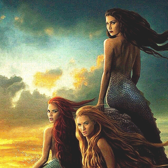 Meet your Posher, L. - Picture 4 of 4